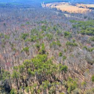 Photo #5 of Watt Abbitt Rd., Appomattox, VA 24.0 acres