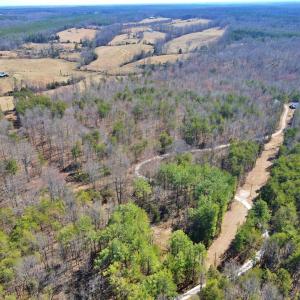 Photo #11 of Watt Abbitt Rd., Appomattox, VA 24.0 acres