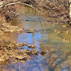 Photo #13 of Watt Abbitt Rd., Appomattox, VA 24.0 acres