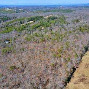 Photo #2 of Watt Abbitt Rd., Appomattox, VA 24.0 acres
