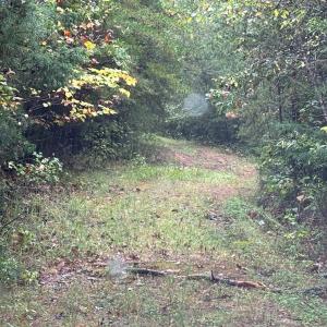 Photo #10 of end of Meriwood Farm Road, Farmville, VA 26.3 acres