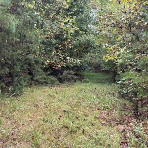Photo #11 of end of Meriwood Farm Road, Farmville, VA 26.3 acres