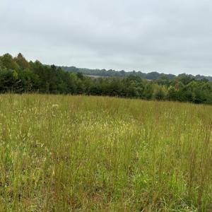 Photo #12 of end of Meriwood Farm Road, Farmville, VA 26.3 acres