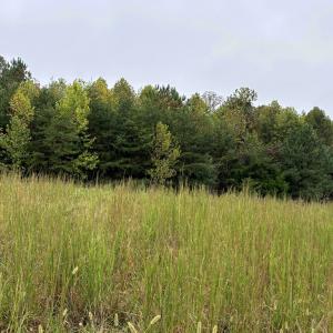 Photo #13 of end of Meriwood Farm Road, Farmville, VA 26.3 acres