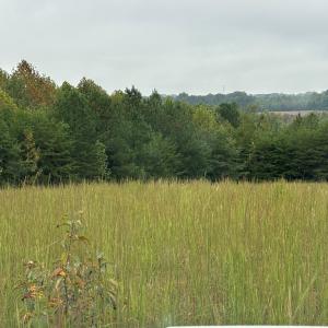 Photo #14 of end of Meriwood Farm Road, Farmville, VA 26.3 acres