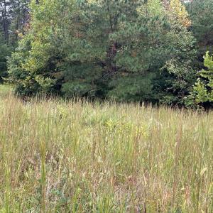 Photo #15 of end of Meriwood Farm Road, Farmville, VA 26.3 acres