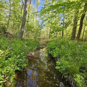 Photo #11 of 659 Andersonville Rd, Dillwyn, VA 80.0 acres