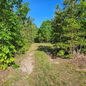 Photo #18 of 659 Andersonville Rd, Dillwyn, VA 80.0 acres