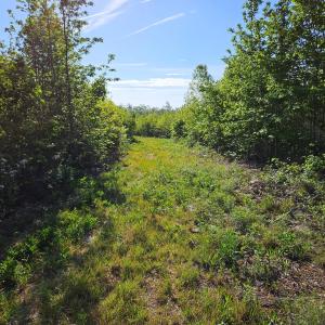 Photo #19 of 659 Andersonville Rd, Dillwyn, VA 80.0 acres