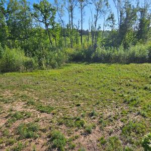 Photo #20 of 659 Andersonville Rd, Dillwyn, VA 80.0 acres
