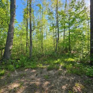 Photo #22 of 659 Andersonville Rd, Dillwyn, VA 80.0 acres