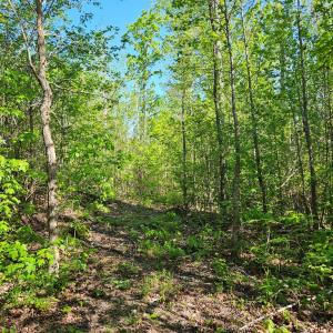Photo #24 of 659 Andersonville Rd, Dillwyn, VA 80.0 acres