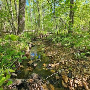 Photo #25 of 659 Andersonville Rd, Dillwyn, VA 80.0 acres