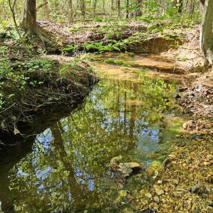 Photo #26 of 659 Andersonville Rd, Dillwyn, VA 80.0 acres