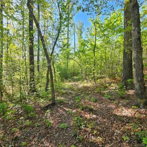 Photo #28 of 659 Andersonville Rd, Dillwyn, VA 80.0 acres