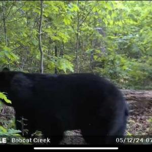 Photo #3 of 659 Andersonville Rd, Dillwyn, VA 80.0 acres