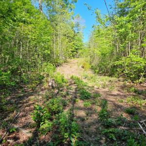 Photo #30 of 659 Andersonville Rd, Dillwyn, VA 80.0 acres