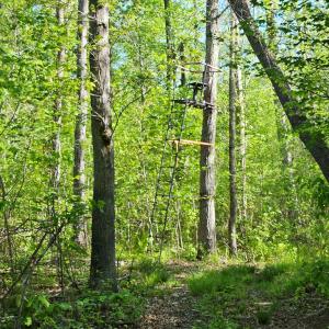 Photo #31 of 659 Andersonville Rd, Dillwyn, VA 80.0 acres