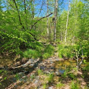 Photo #34 of 659 Andersonville Rd, Dillwyn, VA 80.0 acres