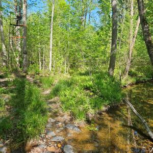 Photo #35 of 659 Andersonville Rd, Dillwyn, VA 80.0 acres