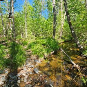 Photo #36 of 659 Andersonville Rd, Dillwyn, VA 80.0 acres