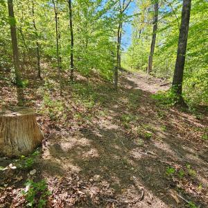 Photo #37 of 659 Andersonville Rd, Dillwyn, VA 80.0 acres
