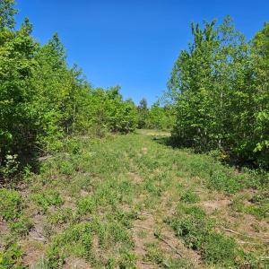 Photo #38 of 659 Andersonville Rd, Dillwyn, VA 80.0 acres