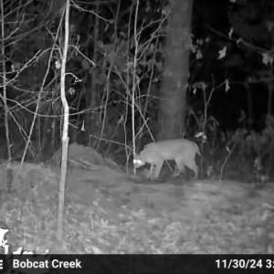 Photo #4 of 659 Andersonville Rd, Dillwyn, VA 80.0 acres