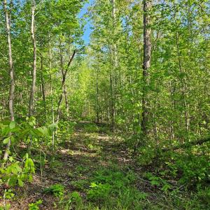 Photo #43 of 659 Andersonville Rd, Dillwyn, VA 80.0 acres