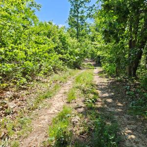 Photo #44 of 659 Andersonville Rd, Dillwyn, VA 80.0 acres