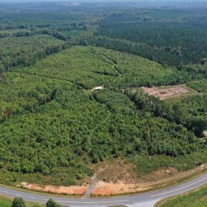Photo #6 of 659 Andersonville Rd, Dillwyn, VA 80.0 acres