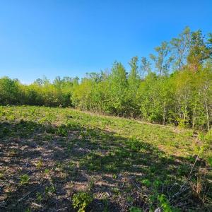 Photo #25 of 640 Andersonville Rd, Dillwyn, VA 80.0 acres