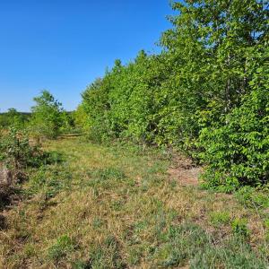 Photo #36 of 640 Andersonville Rd, Dillwyn, VA 80.0 acres
