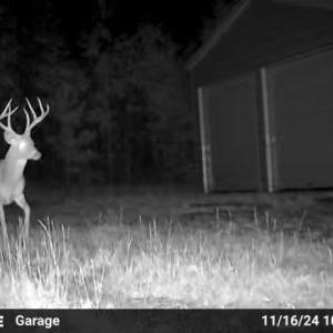 Photo #5 of 640 Andersonville Rd, Dillwyn, VA 80.0 acres