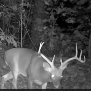 Photo #8 of 640 Andersonville Rd, Dillwyn, VA 80.0 acres