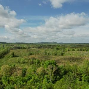 Photo #2 of 3 00 James River/Oakville Rd, Appomattox, VA 104.8 acres