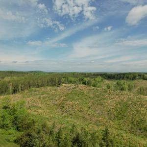 Photo #3 of 3 00 James River/Oakville Rd, Appomattox, VA 104.8 acres