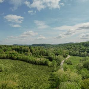 Photo #5 of 3 00 James River/Oakville Rd, Appomattox, VA 104.8 acres