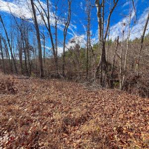 Photo #2 of Jennings Town Road, Crewe, VA 13.6 acres