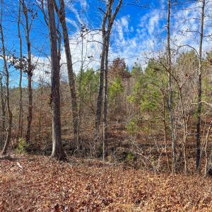 Photo #3 of Jennings Town Road, Crewe, VA 13.6 acres