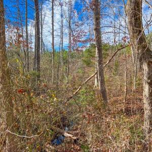 Photo #4 of Jennings Town Road, Crewe, VA 13.6 acres