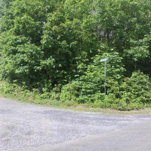 Photo #2 of TBD Liberty Rd, New Canton, VA 11.6 acres