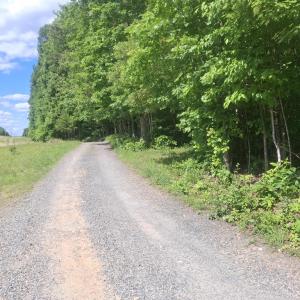 Photo #4 of TBD Liberty Rd, New Canton, VA 11.6 acres