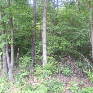 Photo #5 of TBD Liberty Rd, New Canton, VA 11.6 acres