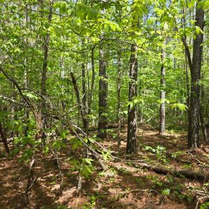 Photo #5 of Holiday Lake Rd, Appomattox, VA 15.0 acres