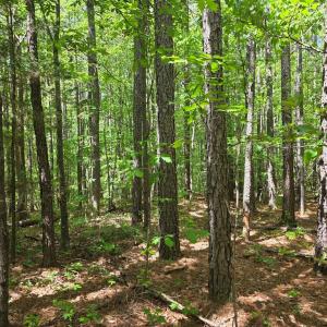 Photo #6 of Holiday Lake Rd, Appomattox, VA 15.0 acres