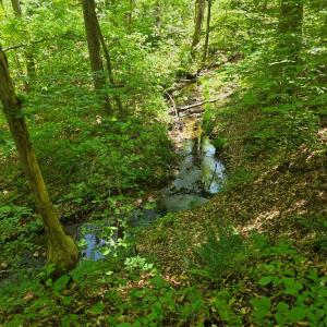 Photo #8 of Holiday Lake Rd, Appomattox, VA 15.0 acres