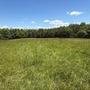 Photo #10 of Piney Mountain Rd, Appomattox, VA 22.7 acres