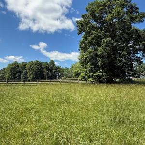 Photo #12 of Piney Mountain Rd, Appomattox, VA 22.7 acres