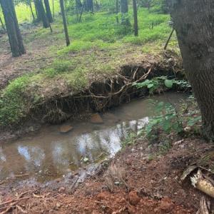 Photo #13 of Piney Mountain Rd, Appomattox, VA 22.7 acres